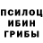 Псилоцибиновые грибы Magic Shrooms Alexander Weiz