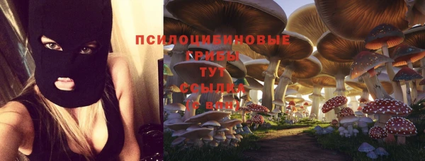 MDMA Алексин