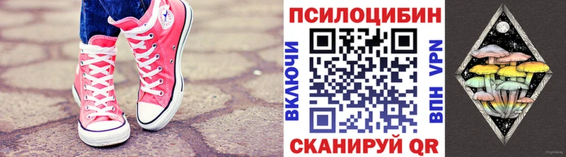 Псилоцибиновые грибы Cubensis Холмск